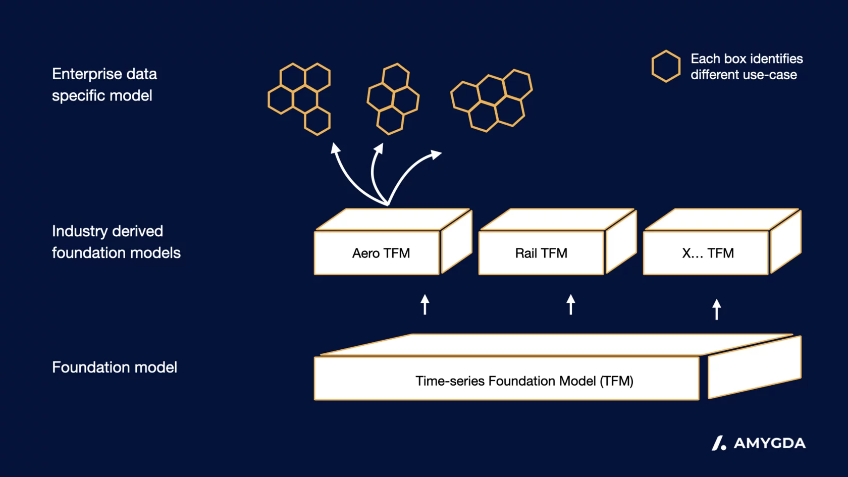 Amygda Foundation Model infrastructure